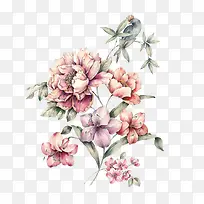 手绘花鸟画-空若网 手绘花鸟画-空若网