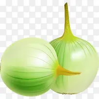 卡通洋葱-空若网 卡通洋葱-空若网