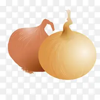 葱头洋葱矢量PNG素材-空若网 葱头洋葱矢量PNG素材-空若网