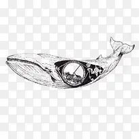 创意大白鲨插画-空若网 创意大白鲨插画-空若网