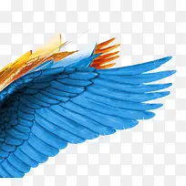 蓝色高清手绘羽毛翅膀素材图-空若网 蓝色高清手绘羽毛翅膀素材图-空若网