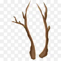 枯萎的树干-空若网 枯萎的树干-空若网