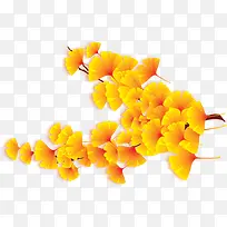 黄色植物叶子树枝618年中大促-空若网 黄色植物叶子树枝618年中大促-空若网