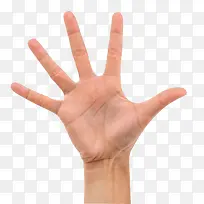 手指招聘广告主页-空若网 手指招聘广告主页-空若网