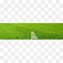 草背景图-空若网 草背景图-空若网