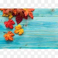 ľ°å±³¾°ÓëÎàͩҶ±³¾°-¿ÕÈôÍø ľ°å±³¾°ÓëÎàͩҶ±³¾°-¿ÕÈôÍø