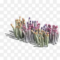 ����Ⱥ-������