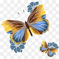 精美蝴蝶矢量素材-空若网 精美蝴蝶矢量素材-空若网