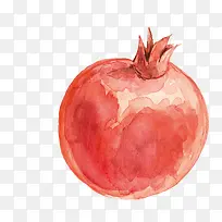 矢量彩绘水果石榴-空若网 矢量彩绘水果石榴-空若网