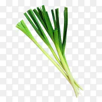 有机蔬菜-空若网 有机蔬菜-空若网