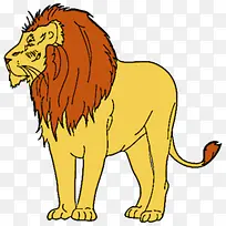 狮子-空若网 狮子-空若网