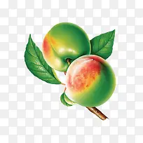 ˮ����-������