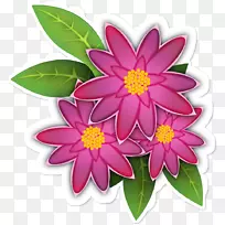 花卉彩绘-空若网 花卉彩绘-空若网