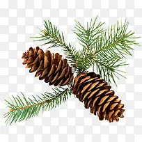 ��֦������-������