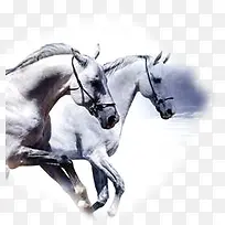 白色创意手绘战马-空若网 白色创意手绘战马-空若网