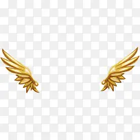 �������ز�-������