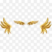 金色翅膀-空若网 金色翅膀-空若网