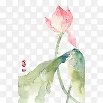 �ɻ��廭-������