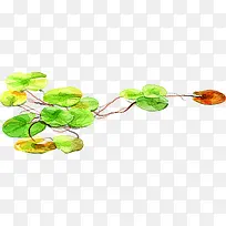 ÊÖ»æºÉÒ¶Ë®²ÊÂþ»-¿ÕÈôÍø ÊÖ»æºÉÒ¶Ë®²ÊÂþ»-¿ÕÈôÍø