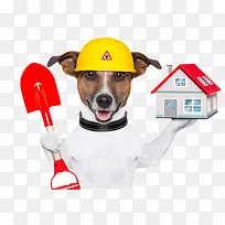 小狗工程师-空若网 小狗工程师-空若网