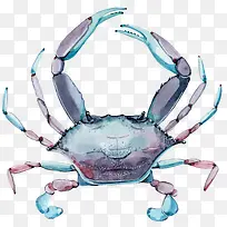 彩色螃蟹-空若网 彩色螃蟹-空若网