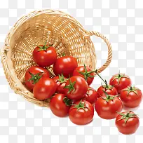 西红柿-空若网 西红柿-空若网