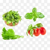 绿色蔬菜-空若网 绿色蔬菜-空若网