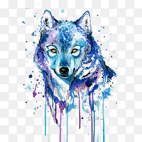 冰-空若网 冰-空若网