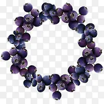 紫葡萄-空若网 紫葡萄-空若网