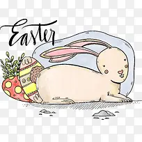 花兔草自然美丽的水彩-空若网 花兔草自然美丽的水彩-空若网