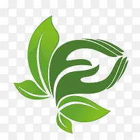 ��ƽ����Ҷ-������