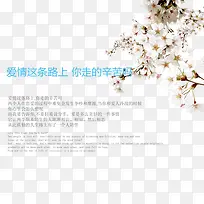 爱情路上-空若网 爱情路上-空若网