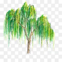 春日手绘垂柳大树-空若网 春日手绘垂柳大树-空若网