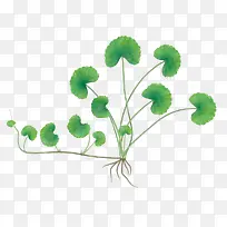 »æÍ¼»ýÑ©²Ý-¿ÕÈôÍø »æÍ¼»ýÑ©²Ý-¿ÕÈôÍø