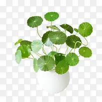 »ýÑ©²ÝÅèÔÔ-¿ÕÈôÍø »ýÑ©²ÝÅèÔÔ-¿ÕÈôÍø