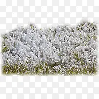 ��ѩ���������-������