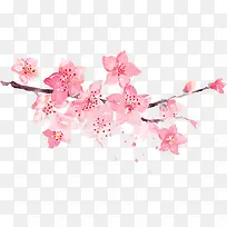 Ë®²Ê»ÌÒ»¨-¿ÕÈôÍø Ë®²Ê»ÌÒ»¨-¿ÕÈôÍø