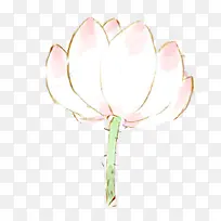 白色莲花花苞-空若网 白色莲花花苞-空若网