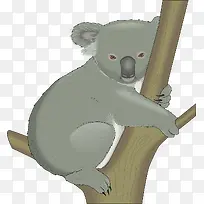 树枝上的树袋熊-空若网 树枝上的树袋熊-空若网