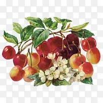 手绘水果花朵图片-空若网 手绘水果花朵图片-空若网