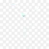 高清摄影活动手绘实拍和平鸽-空若网 高清摄影活动手绘实拍和平鸽-空若网