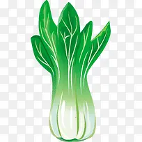 ��ɫ���߲�-������