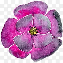 透明背景水彩花朵花卉植物素材-空若网 透明背景水彩花朵花卉植物素材-空若网