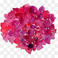 ͸������ˮ�ʻ��仨��ֲ���ز�-������