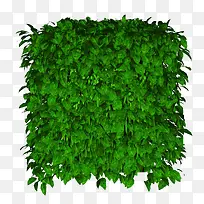 ��-������