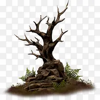 山石枯树枝-空若网 山石枯树枝-空若网