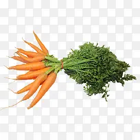 һ�Ѻ��ܲ�-������