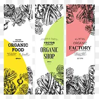 手绘蔬菜-空若网 手绘蔬菜-空若网