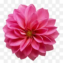 �������軨�ܲ廭-������