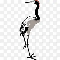 卡通手绘天鹅-空若网 卡通手绘天鹅-空若网